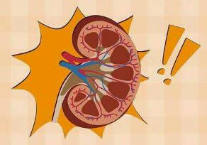 kidney disease-2