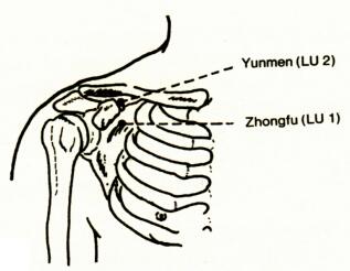 Zhongfu( LU 1)