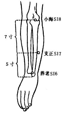 Yanglao(SI6)