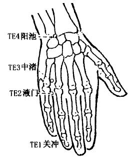 Guanchong(TE1)