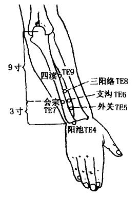 Waiguan(TE5)