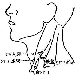 Shuitu(ST10)