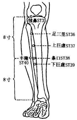 Shangjuxu(ST37)