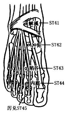 Jiexi(ST41)