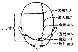 Chengguang(BL6)