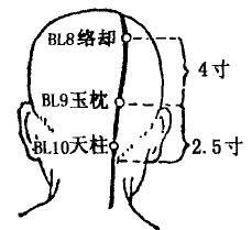 Tianzhu(BL10)