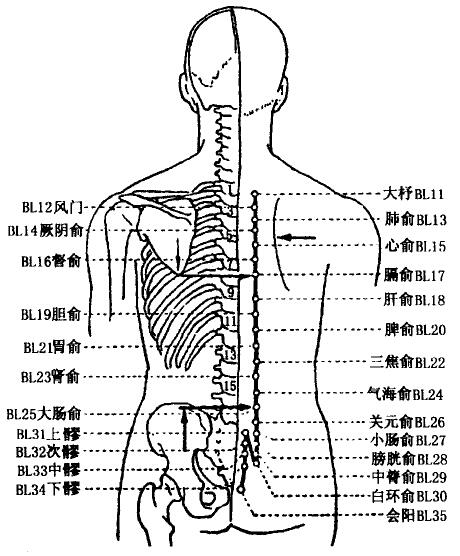 Dazhu(BL11)