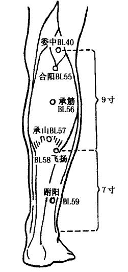 Heyang(BL55)