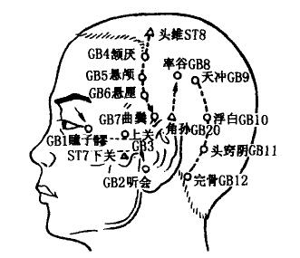 Tongziliao(GB1)