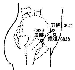 Weidao(GB28)