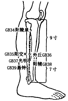 Yanglingquan(GB34)