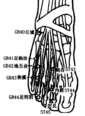 Qiuxu(GB40)