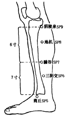 Sanyinjiao(SP6)