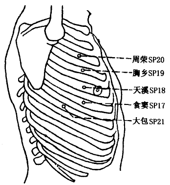 Shidou(SP17)