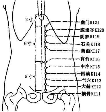 Shangqu(KI17), Shiguan(KI18), Yindu(KI19), Futonggu(KI20),Youmen(KI21)