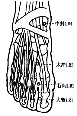 Xingjian(LR2)