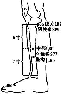 Zhongdu(LR6)