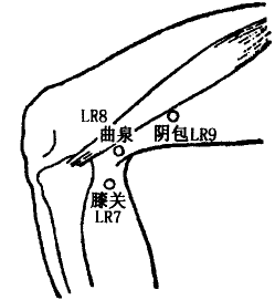 Yinbao(LR9)