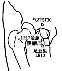 Zuwuli(LR10)