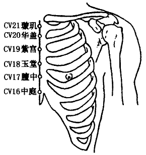 Huagai(CV20)