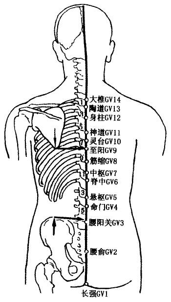 Yaoshu(GV2)