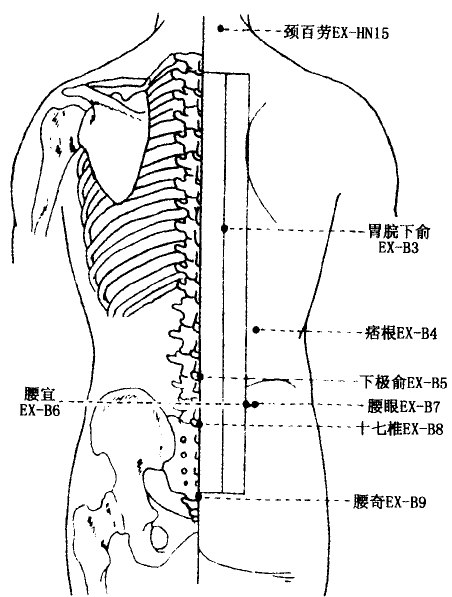 Weiwanxiashu(EX-B3)