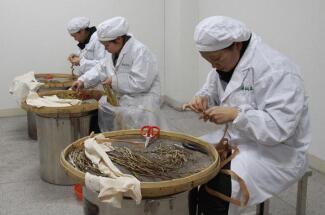 Processing of Chinese Medicinals